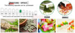 SHH-V Series Semi-Automatic Capsule Filling Machine - Image 3